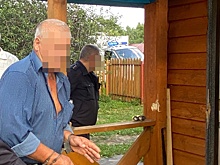 Нижегородского бизнесмена Михаила Иосилевича осудили на 1 год и 8 месяцев