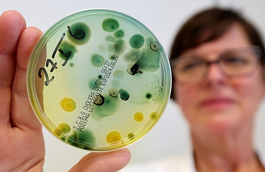 Медики уверены, что к 2050 году супербактерии унесут жизни свыше 39 млн людей
