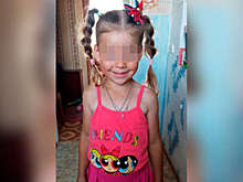 В Прикамье на месте обнаружения тела пропавшей девочки организовали стихийный мемориал