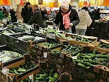 За неделю в России подорожали огурцы и картофель