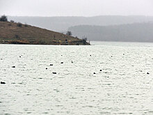В Сакском районе Крыма построят новый водопровод за шесть миллионов рублей