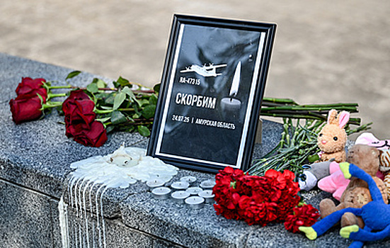 Не менее 12 ЧП, десятки погибших. Крупные авиакатастрофы 2025 года