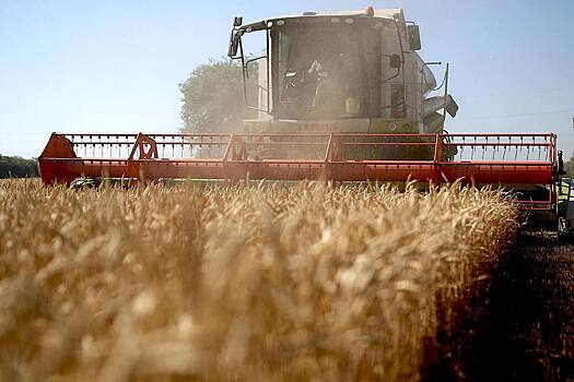 Аграрии Мордовии смогут получить субсидии на агрострахование