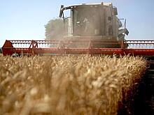 Аграрии Мордовии смогут получить субсидии на агрострахование