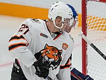 К чешскому защитнику Машину проявляют интерес несколько клубов КХЛ