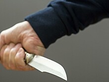 В Москве поймали бегавшего за людьми мужчину с ножом