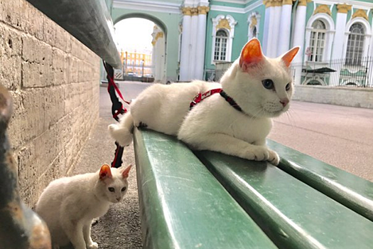 Очоа поблагодарил российских болельщиков за поддержку сборной Мексики на Кубке конфедераций