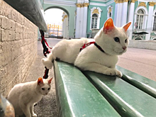 Очоа поблагодарил российских болельщиков за поддержку сборной Мексики на Кубке конфедераций