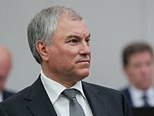 Спикер ГД Володин призвал не вводить "бабушек в блуд" с мигрантами