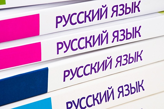 Русист из Молдовы: Язык Пушкина становится для многих молдавских школьников языком образования и карьеры