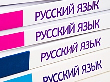 Русист из Молдовы: Язык Пушкина становится для многих молдавских школьников языком образования и карьеры