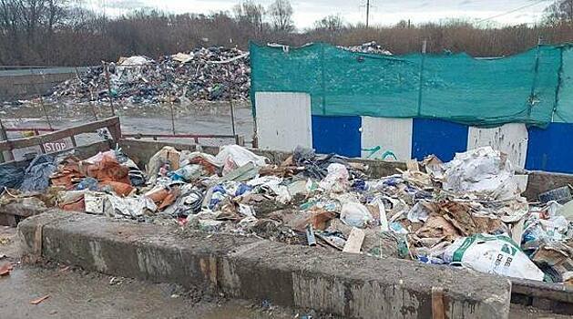 Природоохранная прокуратура установит, почему скопился мусор на Правой набережной