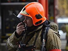 В Якутии спасли жеребенка, упавшего в 3-метровую яму