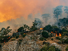В Турции бушуют пожары, температура побила рекорд в +50,5 градусов