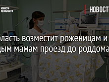 Ленобласть возместит роженицам и молодым мамам проезд до роддома