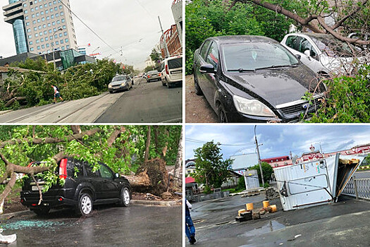 Число жертв урагана в Екатеринбурге увеличилось до четырех