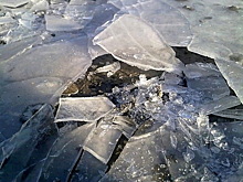 Мосальский глава «полопал» лед по дороге на работу