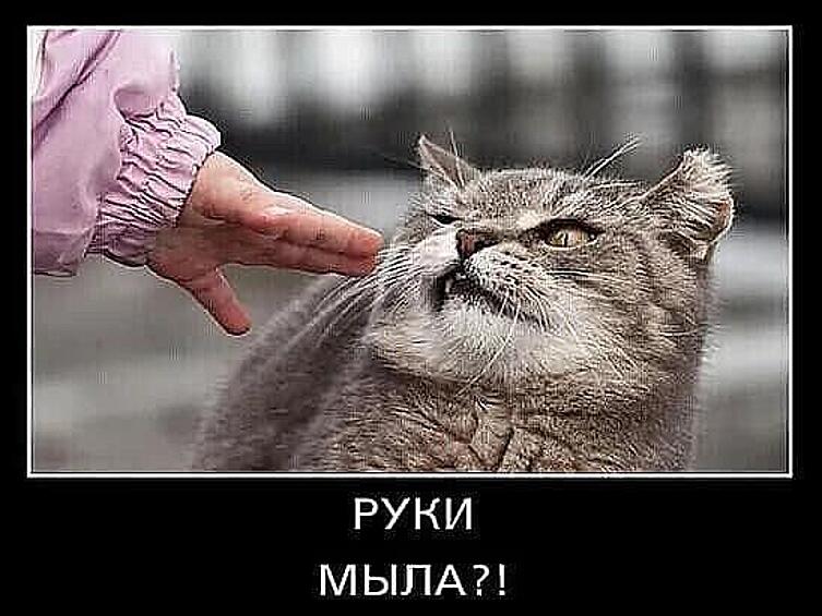 Мытье рук впервые стало такой обсуждаемой процедурой.