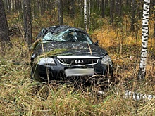 В Клепиковском районе 53-летний водитель Lada Priora вылетел с трассы и сбил березу