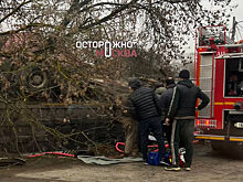 Массовая авария парализовала движение автомобилей в Новой Москве