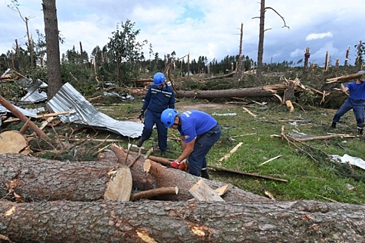 Пострадавшие от урагана в Тверской области получат выплаты
