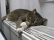 Отопительный сезон в Калининграде начался 3 октября