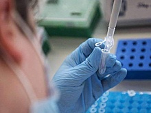 Власти Магаданской области рассказали о количестве заболевших COVID-19 за неделю