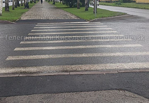 Кузбассовцы обратили внимание на странную "убежавшую" зебру