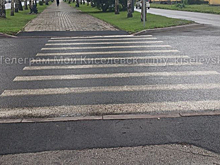 Кузбассовцы обратили внимание на странную "убежавшую" зебру