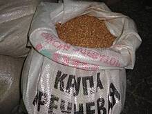 В Башкирии этой осенью отметили рост цен на гречку