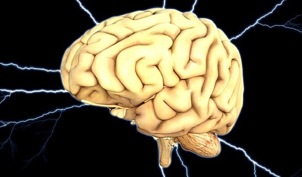 Ученые озвучили возможную причину уменьшения человеческого мозга