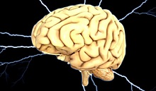 Ученые озвучили возможную причину уменьшения человеческого мозга