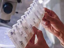 Трое мужчин из одной семьи оказались отцами сотен детей