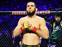 Итоговые рейтинги UFC за 2024 год
