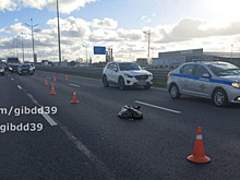 В ГАИ рассказали подробности ДТП под Малым Васильково, где погибла пенсионерка