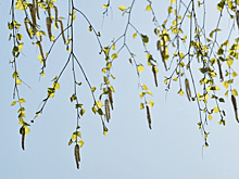 Реализацию нацпроекта "Экология" обсудили на совещании в правительстве региона