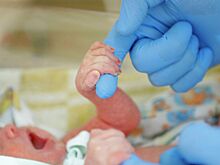 Депутат: тренд на «лотосовые роды» может привести к всплеску смертей