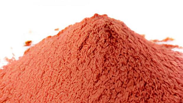 Урожая много не бывает: сублимация сохранит и приумножит