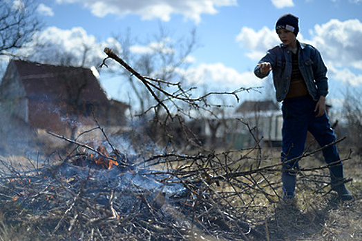 В России могут ужесточить наказание за сжигание порубочных остатков и пал травы