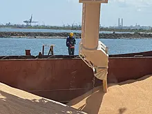 В Турции раскрыли подробности "продуктовой сделки"