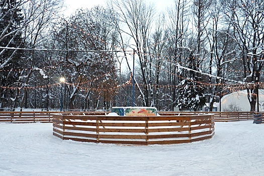 Два нижегородских катка закрываются из-за потепления