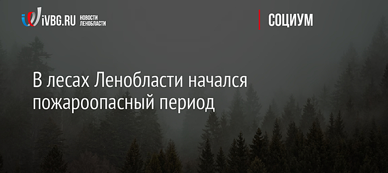 В лесах Ленобласти начался пожароопасный период