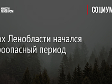 В лесах Ленобласти начался пожароопасный период