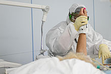В России выявили 8328 новых случаев коронавируса