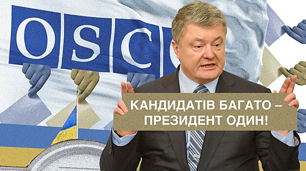 Леонид Слуцкий: Ни одна организация не пригласила наблюдателей из РФ на украинские выборы