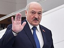 Лукашенко ответил на просьбу повысить зарплату спортсменам