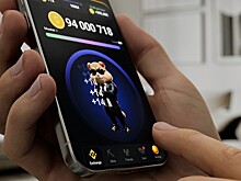 Опубликован ежедневный шифр для игры Hamster Kombat на 25 июня