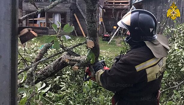 350 человек занимаются устранением последствий урагана в Тверской области