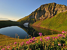 Губернатор Кубани предложил развивать экотуризм и яхтенный спорт на Черноморском побережье