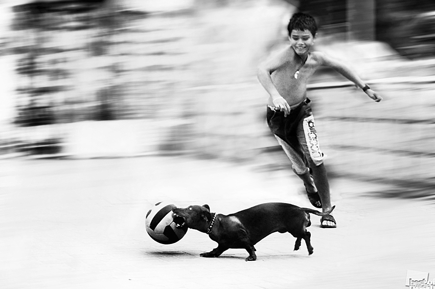 Мальчик и собака-футболист гоняют мяч по набережной Геленджика